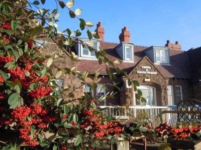 Copy of Hospital berries in November#